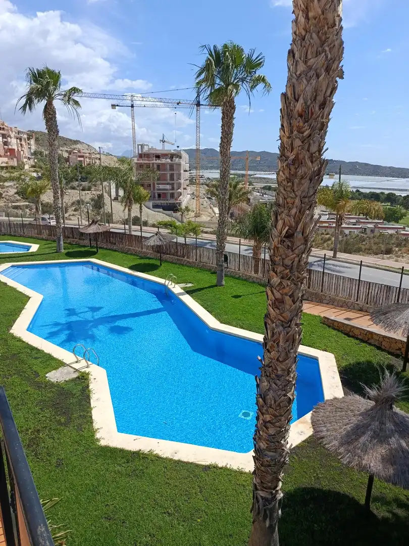 Piscina de Dúplex en venda en Mutxamel amb Aire condicionat, Calefacció i Terrassa