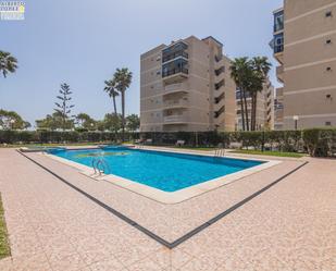 Swimming pool of Planta baja for sale in Elche / Elx  with Terrace and Community pool
