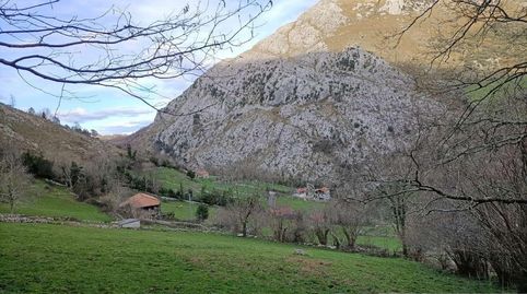 ArredondoTerreno, immagine 2