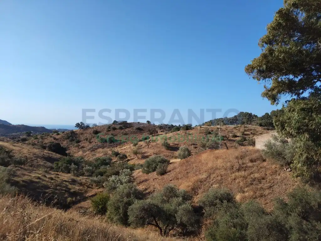 Terreno residencial en venta en Este, imagen 19