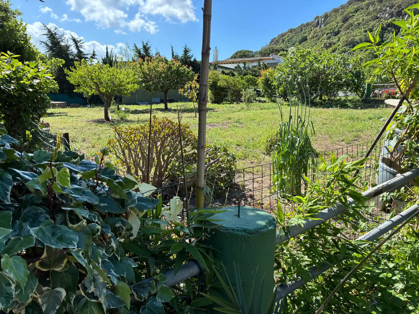 Casa o chalet en venta en Los Barrios con Aire acondicionado, Jardín privado y Terraza