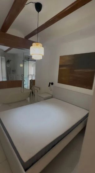 Estudi de lloguer a El Botànic