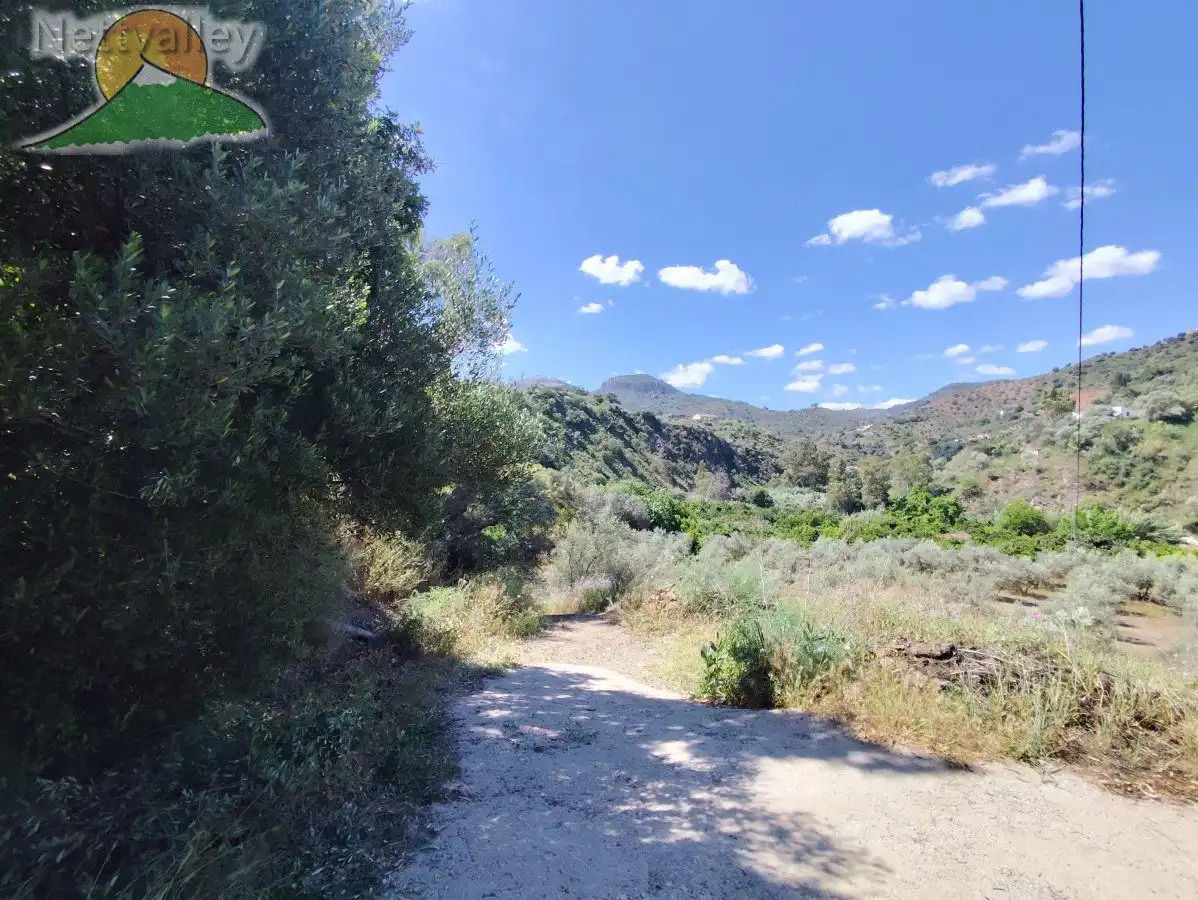 Exterior view of Country homes for sale in Comares