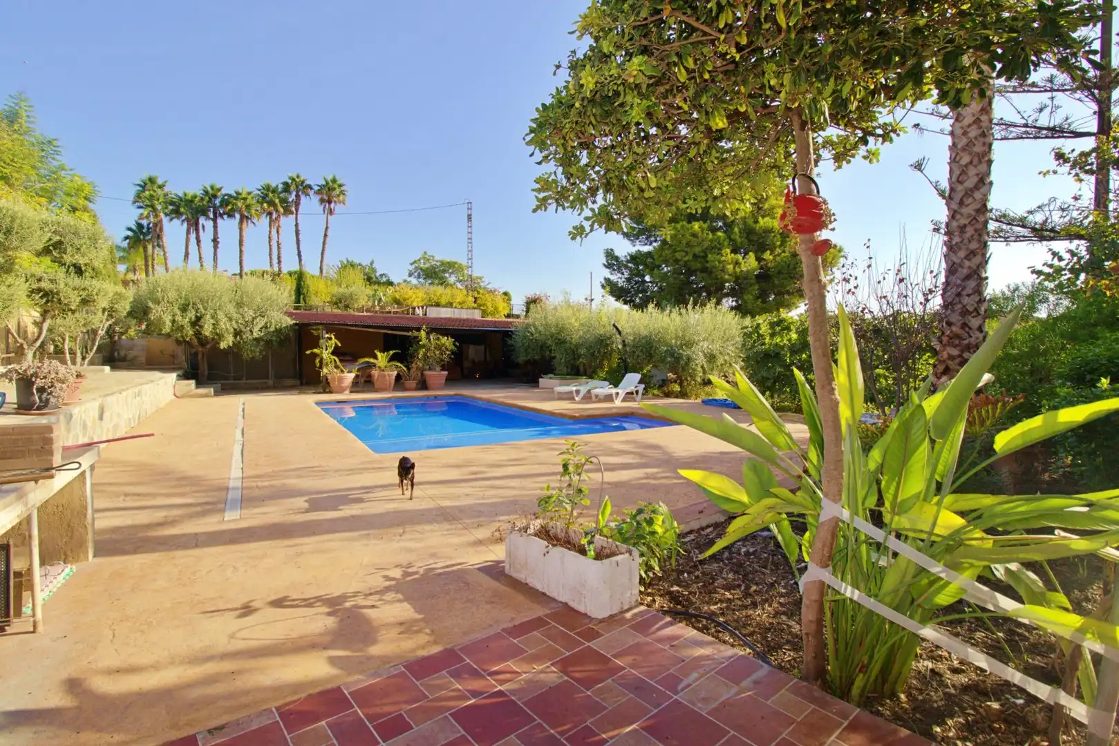 Villa avec piscine à vendre à Jubalcoi, imagen 52