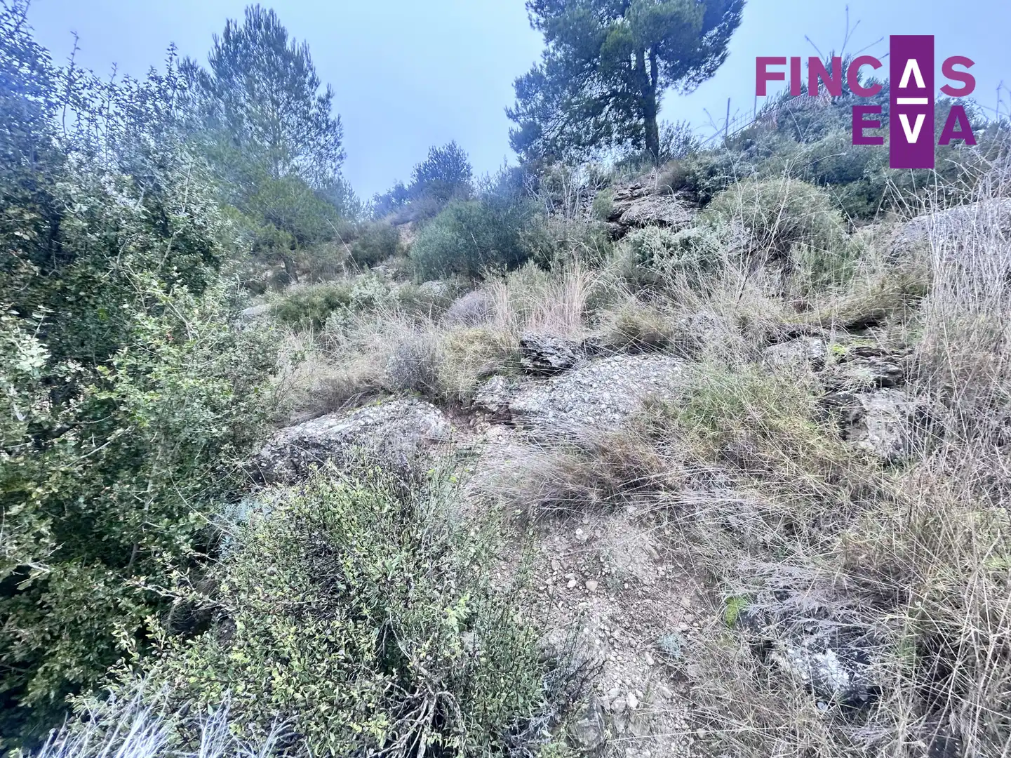 Terreny rústic en venda a Pont de Vilomara i Rocafort El - UR MARQUET CARRER 14 663, imagen 3