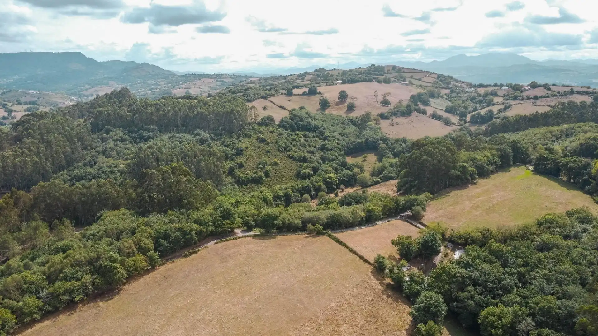 Houses for sale in Noreña  with Heating, Private garden and Terrace
