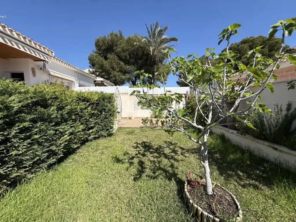 Jardí de Casa o xalet en venda en Orihuela amb Aire condicionat, Moblat i Rentadora
