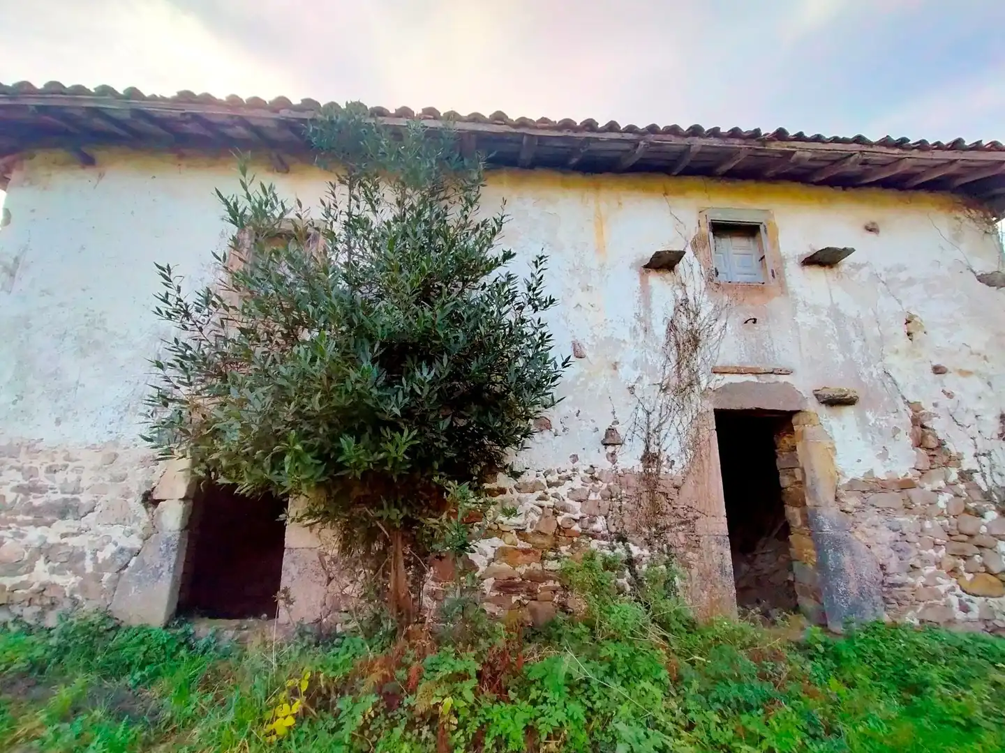 Vista exterior de Finca rústica en venta en Cudillero con Jardín privado