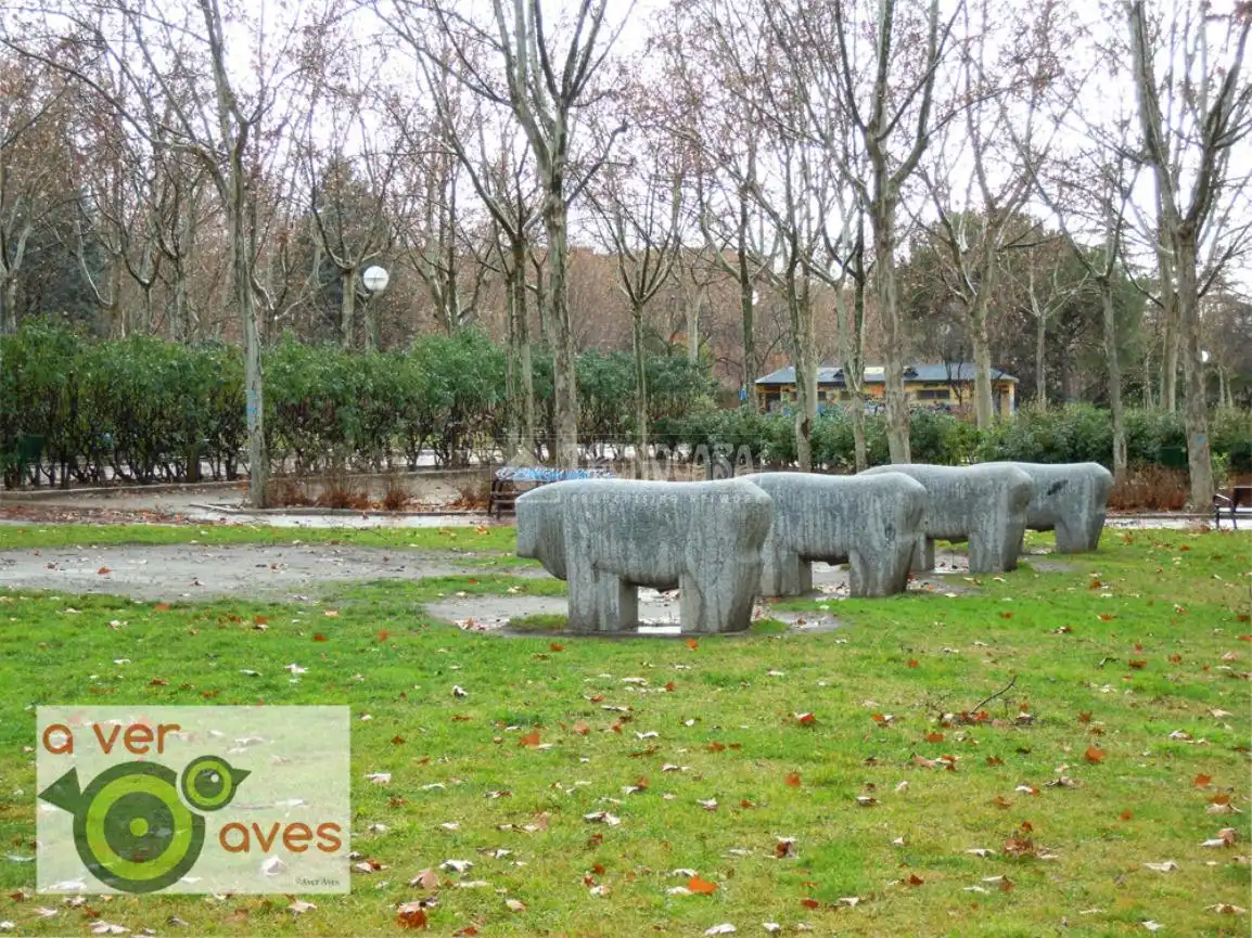 Exterior view of Flat for sale in Madrid  with Air Conditioner and Terrace
