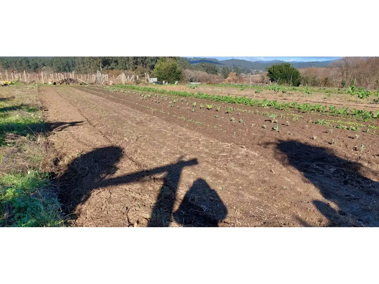 Terreno rustico in vendita a Ribadumia, imagen 7