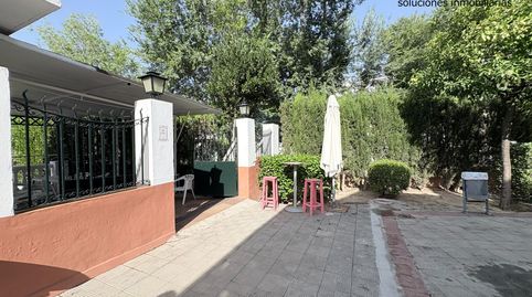 Photo 5 of Detached homes for rent in Santa Eufemia, Tomares