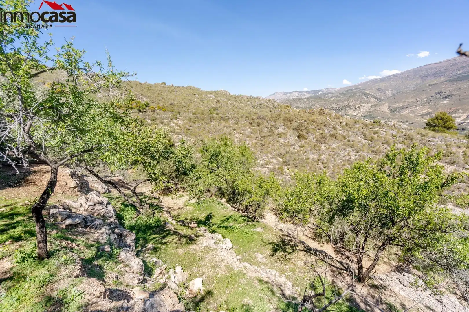 Land for sale in Lúcar