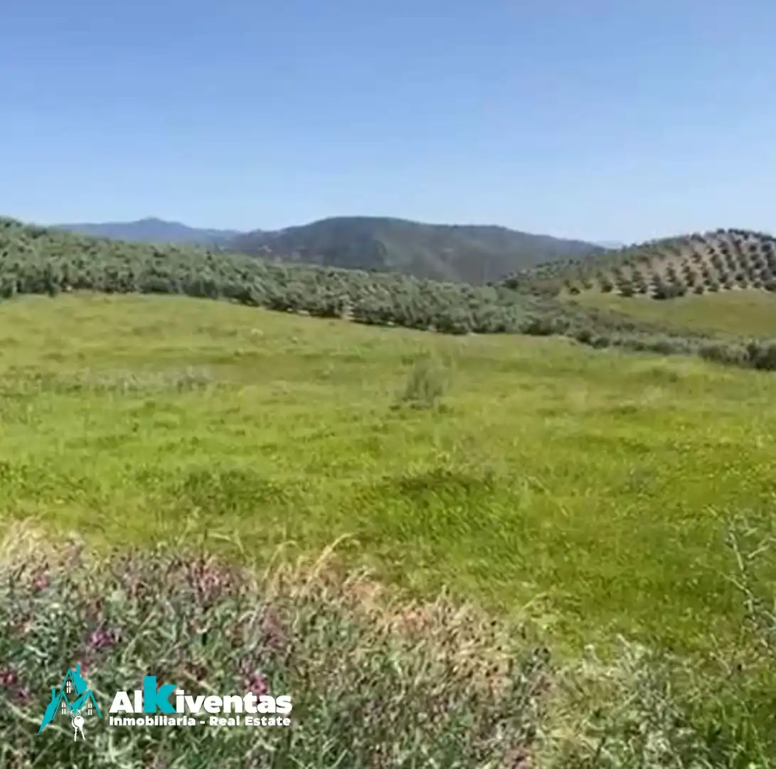 Terreni e lotti in vendita a Casarabonela, imagen 10