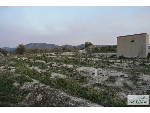 Terreny rústic en venda a Llanera de Ranes, imagen 6