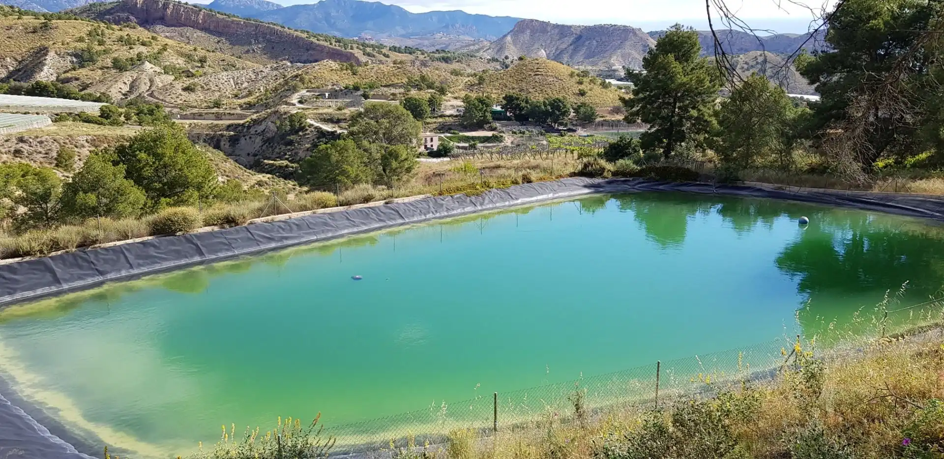 Piscina de Casa o chalet en venta en Aledo con Terraza y Trastero