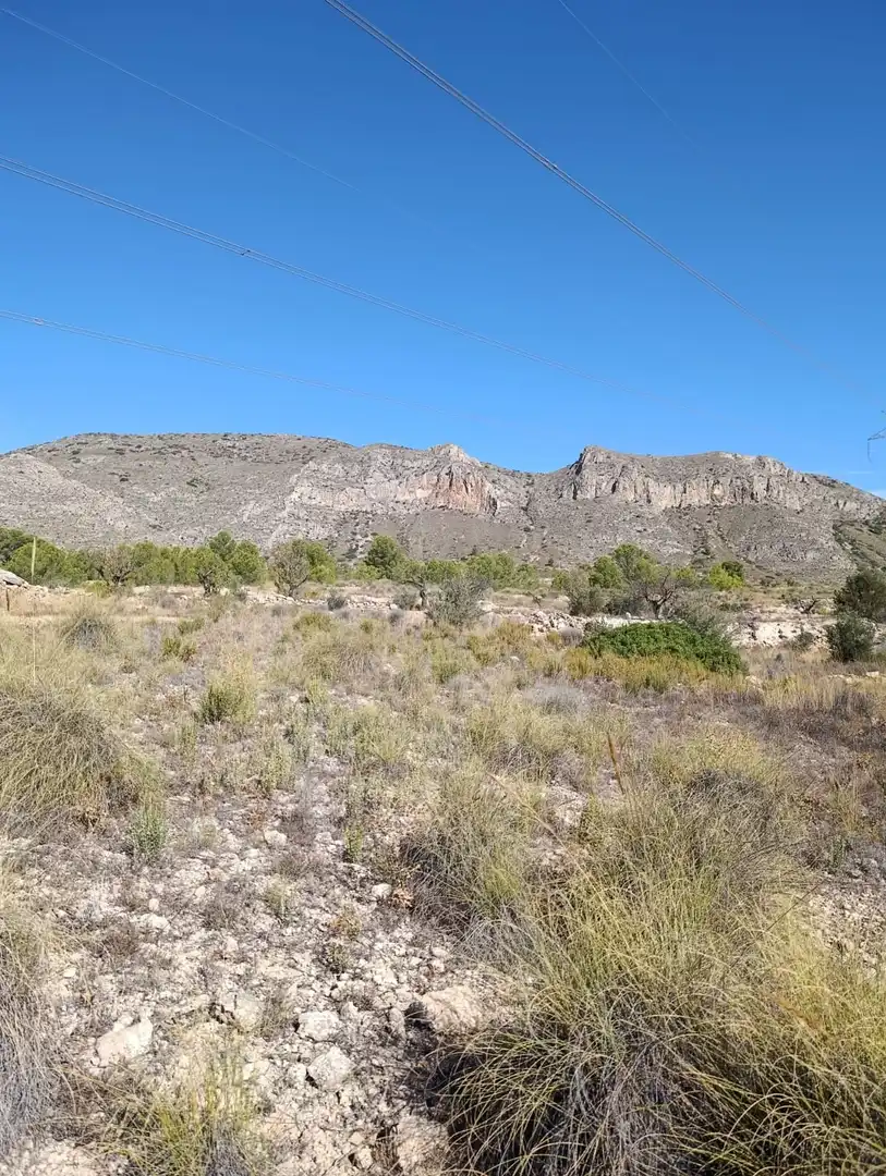 Terreno rustico in vendita a Hondón de las Nieves / El Fondó de les Neus, imagen 16