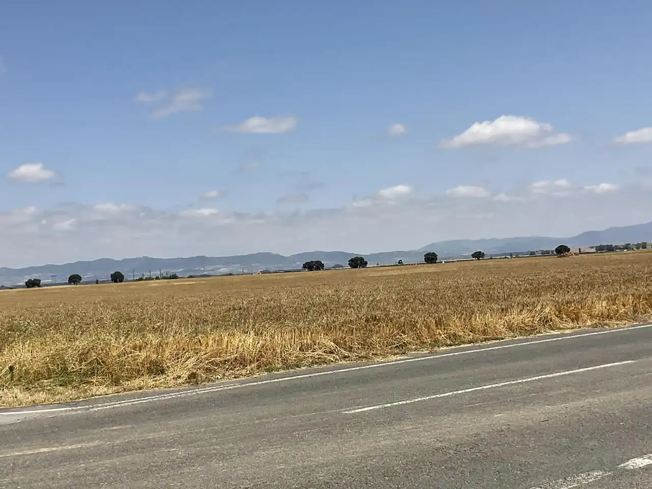 Land for sale in Bañares