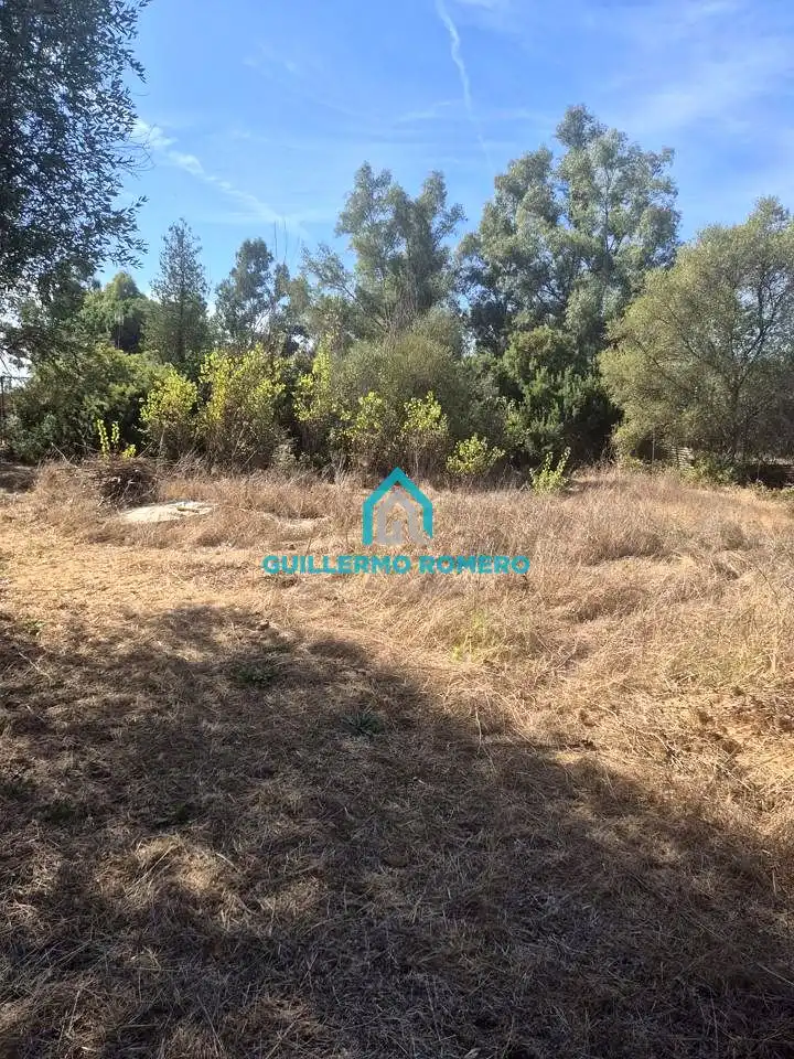 Finca rústica en venta en La Puebla del Río