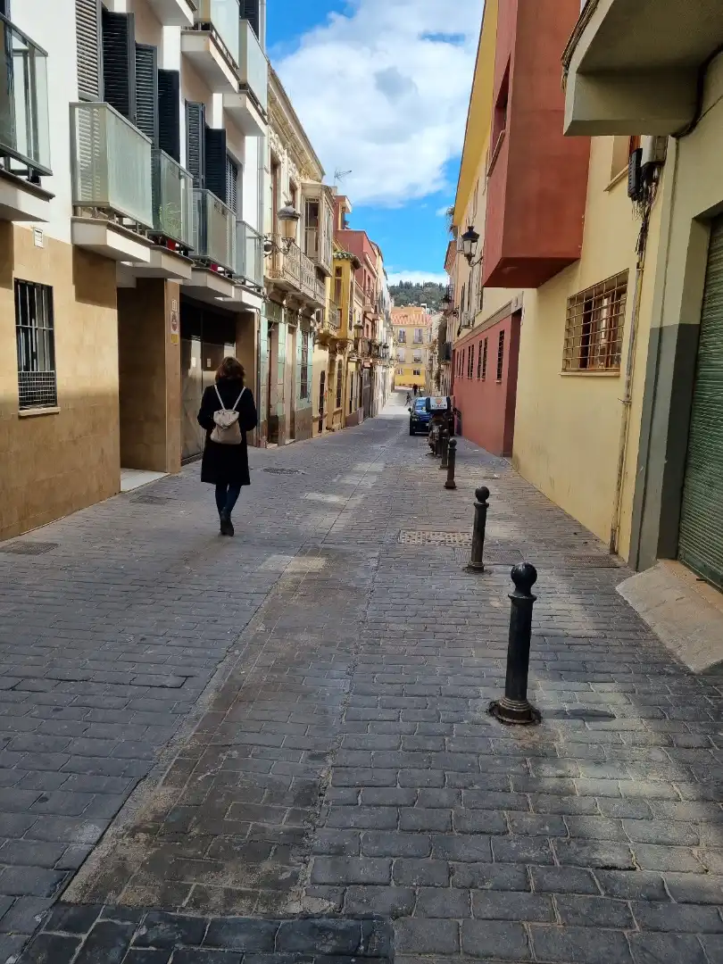 Flat with lift for sale in Calle Alta 30, imagen 16