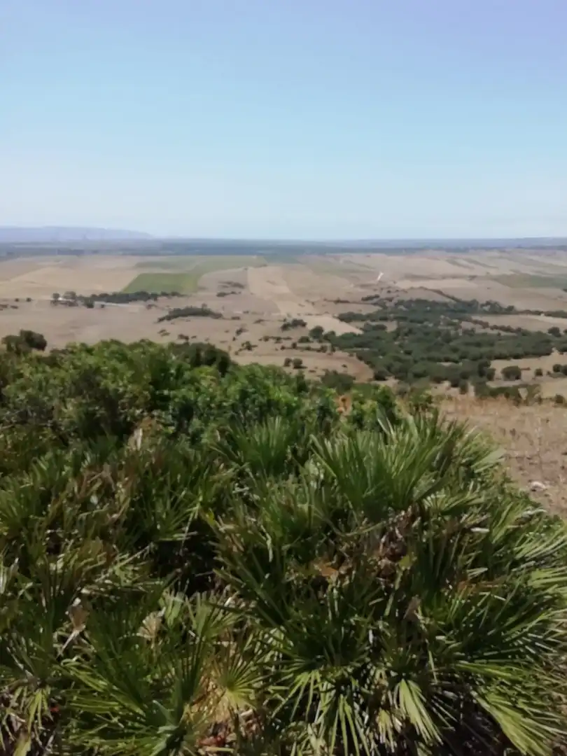Casa rústica en venda a Medina Sidonia, imagen 2
