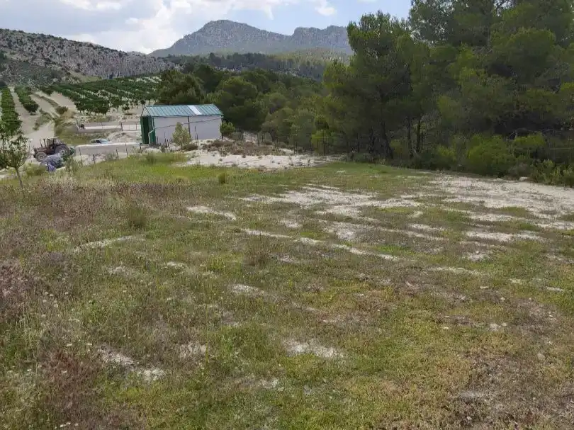 Casa o xalet en venda en Huéscar amb Jardí privat, Piscina i Moblat