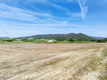 Terreno rústico en venta en Carretera Nacional I