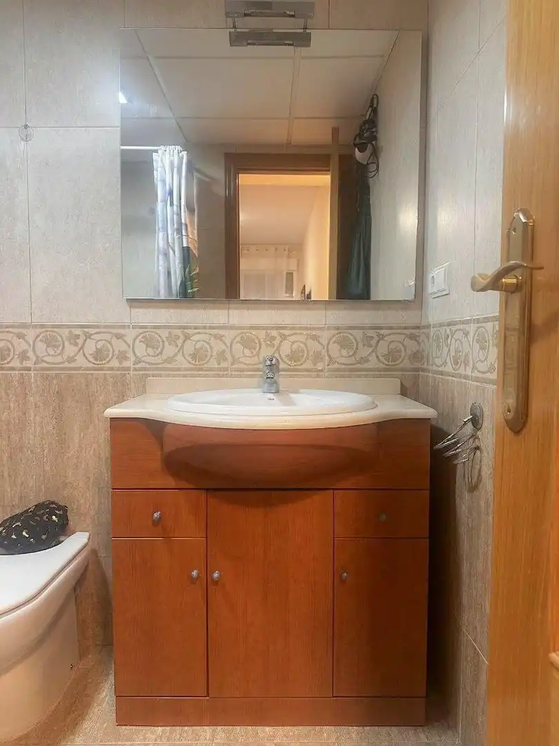 Pis amb terrassa en venda a San Gabriel - Palmeral - Urbanova, imagen 7