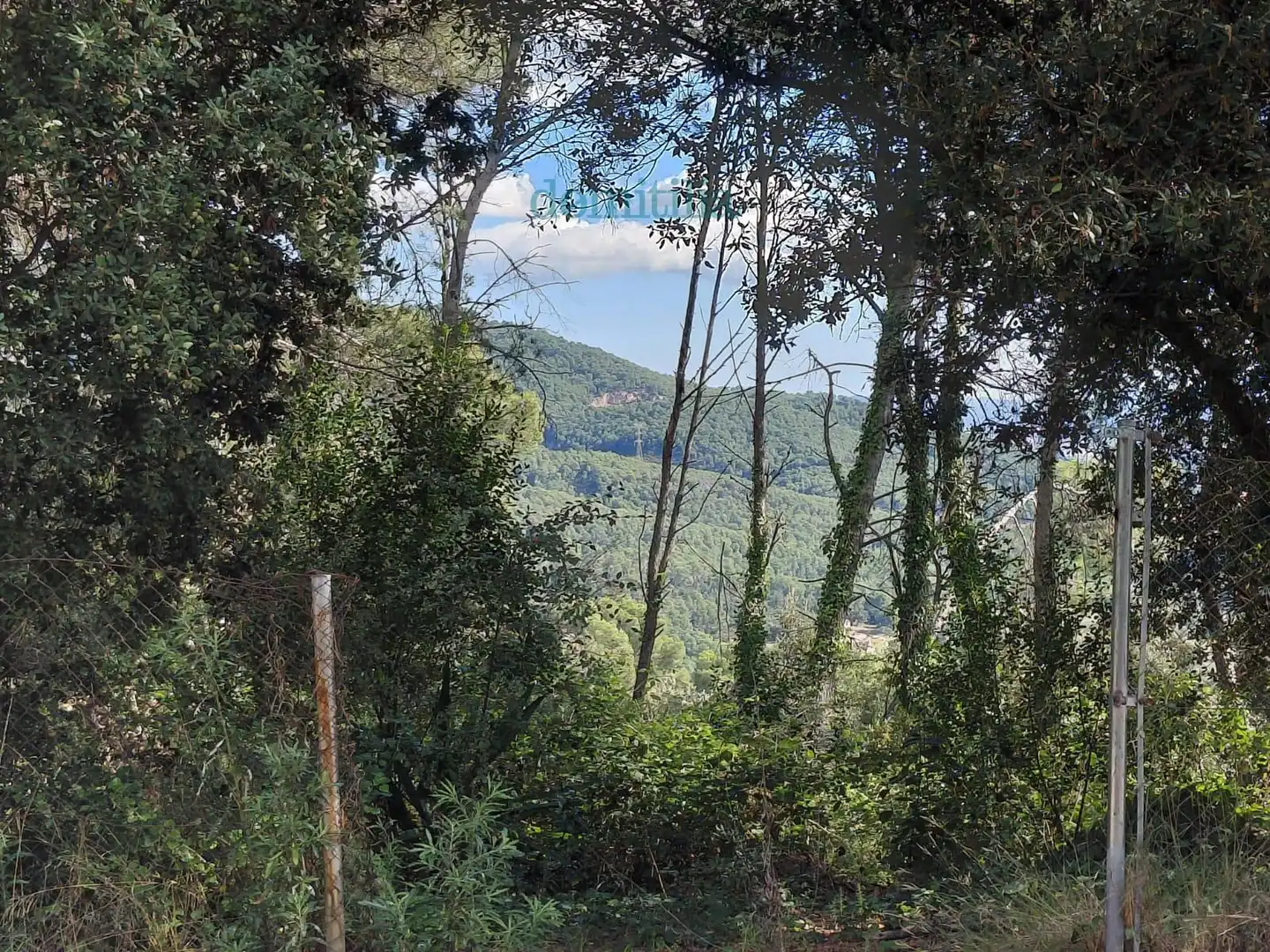 Terreny rústic en venda a de les Pinasses, imagen 2