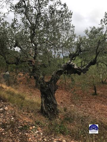 Terreno residencial en Venta en Pla de Bon Aire