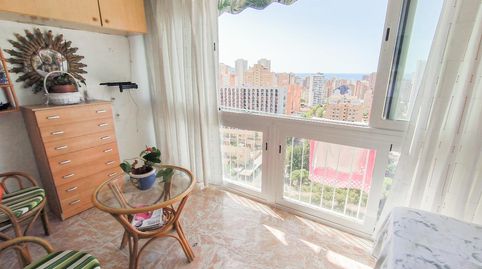 Foto 3 de Estudi en venda a Juzgados - Plaza de Toros, Benidorm