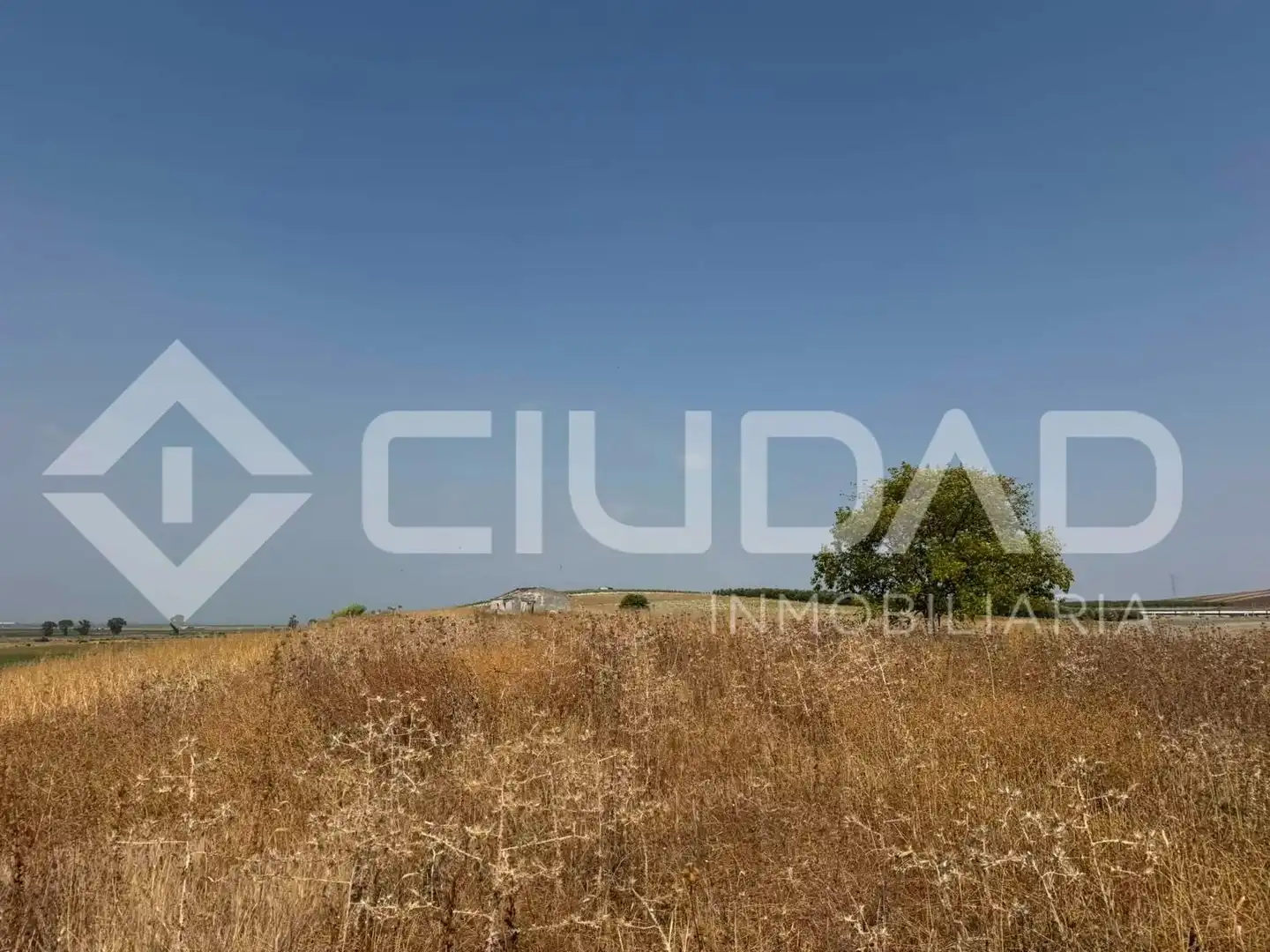 Lands and plots for sale in Lebrija