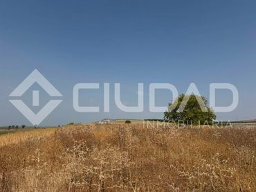 Terreno residenziale in vendita a Lebrija