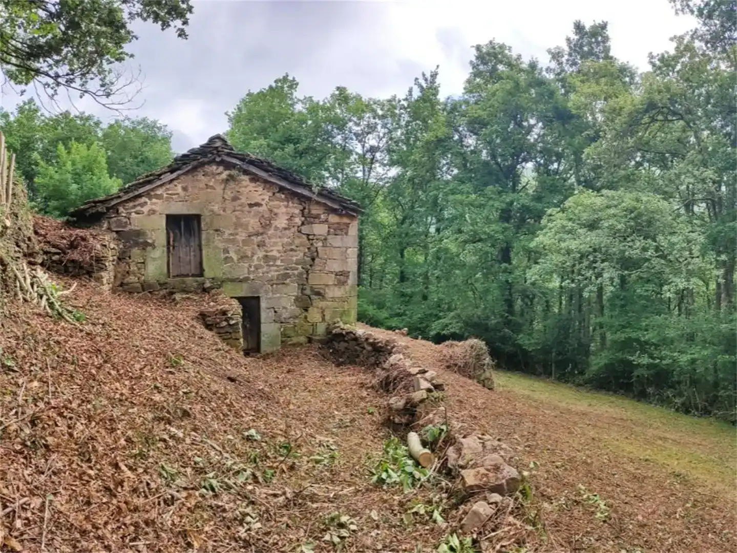 Vista exterior de Finca rústica en venda en San Pedro del Romeral