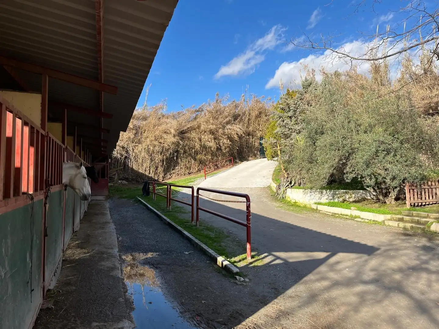 Casa rustica con giardino in vendita a La Zubia Ciudad, imagen 2