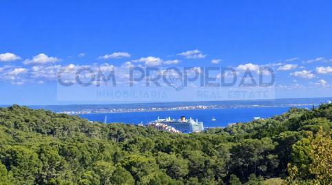 Photo 5 of Residential for sale in Génova, Palma de Mallorca