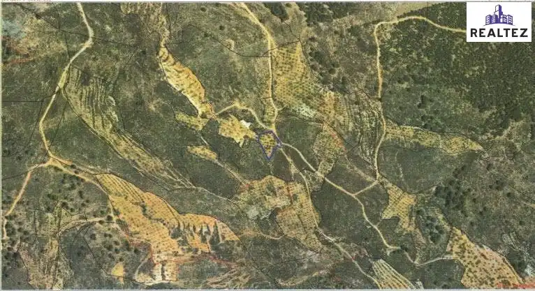 Terrain rustique à vendre à Alcolea, imagen 6