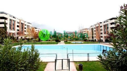 Foto 3 de Piso de alquiler en Zona Monte El Pilar, Majadahonda