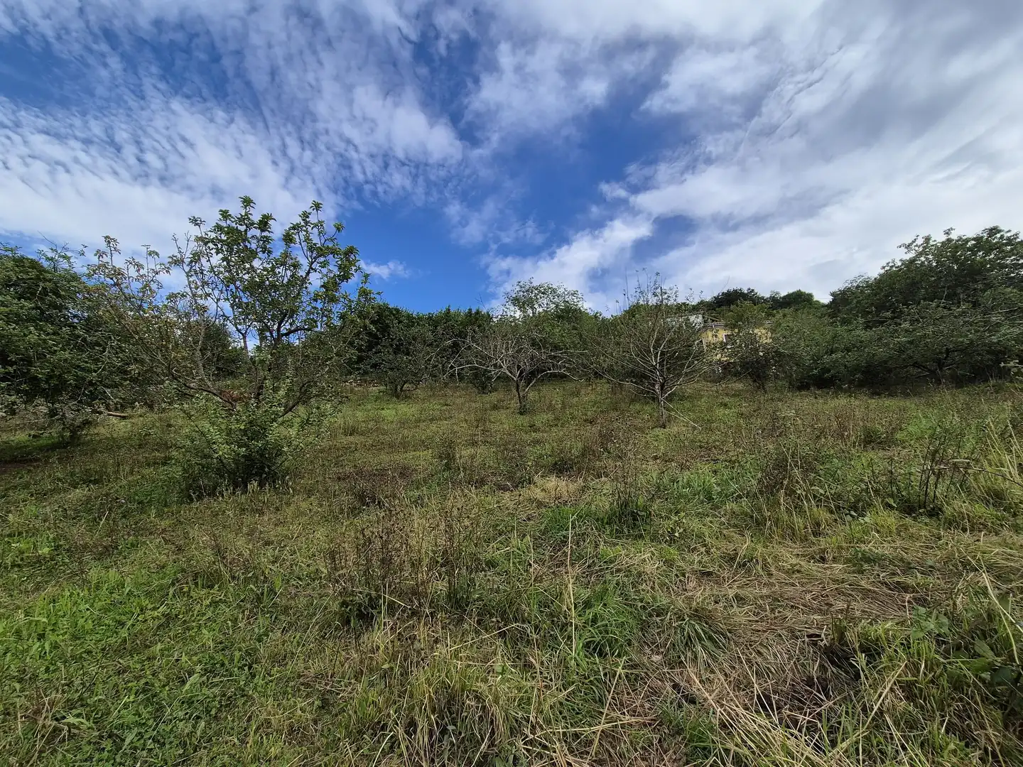 Residential land for sale in Grado, imagen 13
