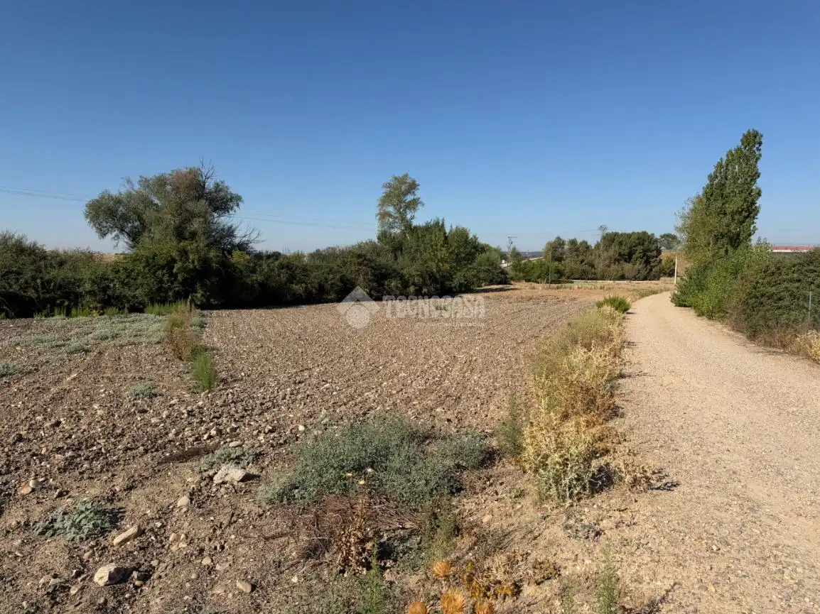 Terreny rústic en venda a Fuente El Saz de Jarama, imagen 10