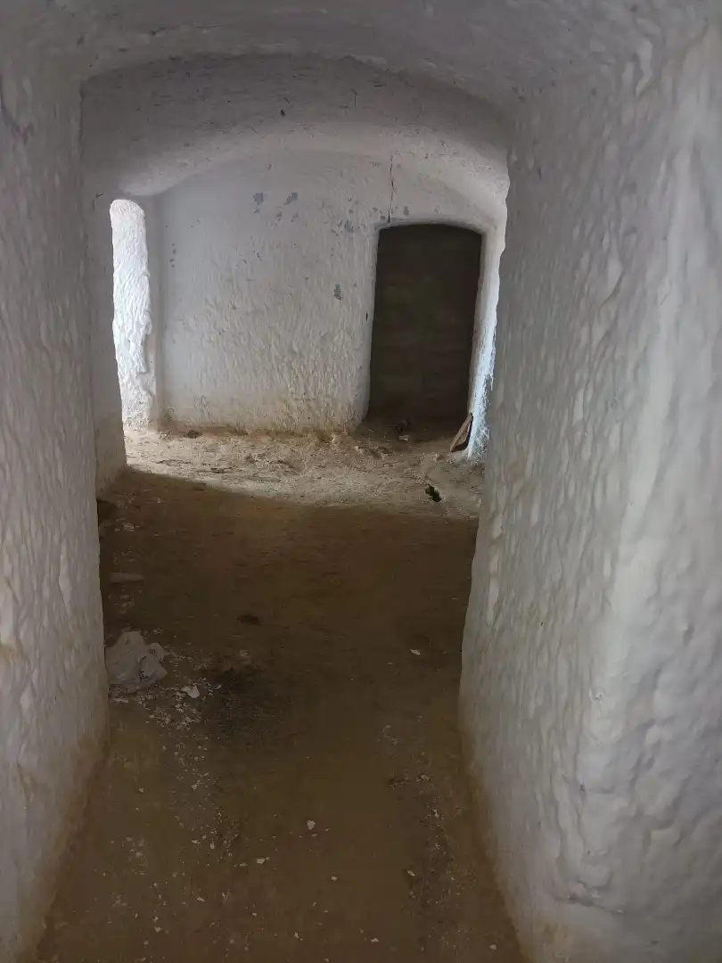 Rustikales Grundstück zum Verkauf in Fonelas, imagen 19