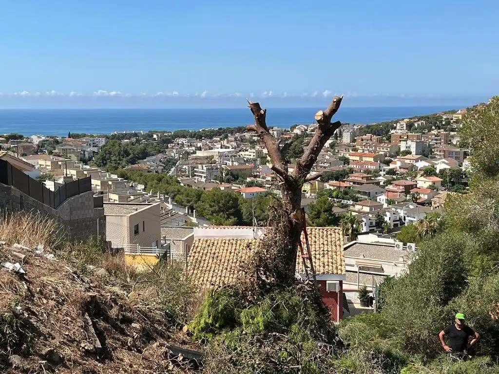 Wohnbaugrundstück zum Verkauf in Segur de Calafell, imagen 4