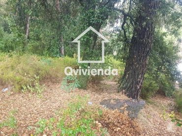 Terreno rustico in vendita a Munt del