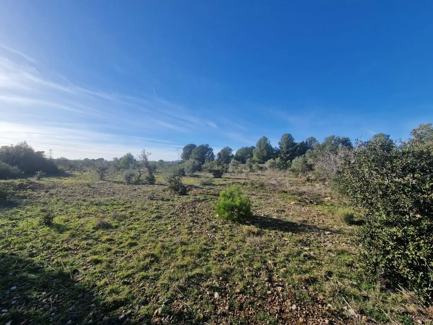 Terreno en venta en 43817, 17, El Pont d'Armentera