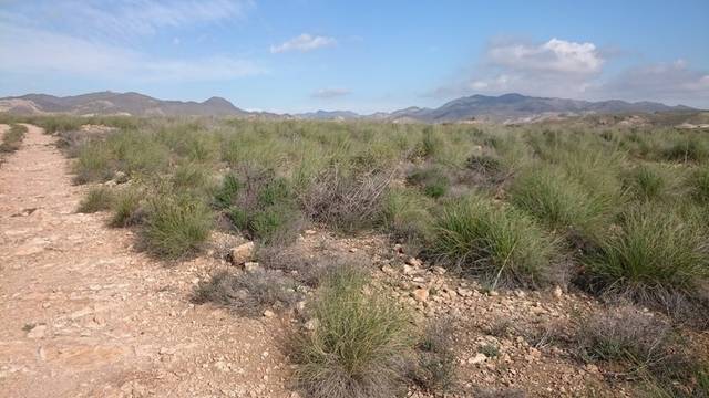 Terreno residencial en Venta en Paraje La Majada Blanca en Lucainena de las Torres