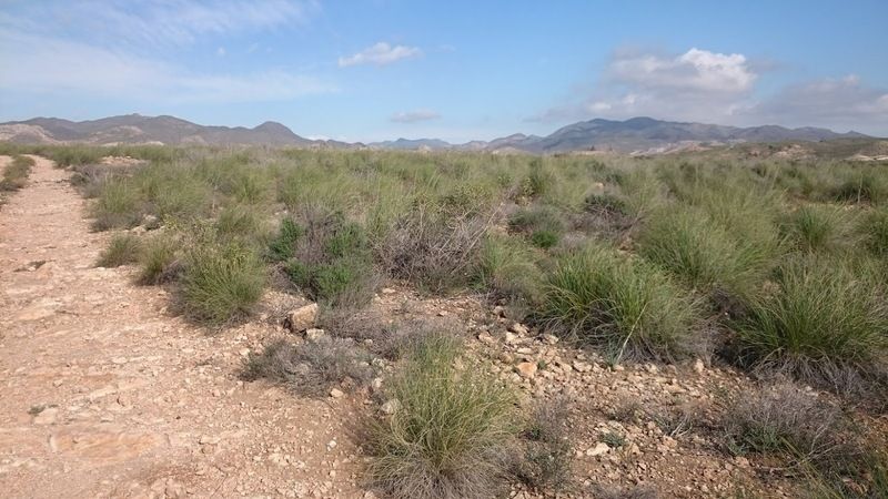 Residencial en venda a Paraje La Majada Blanca, Lucainena de las Torres