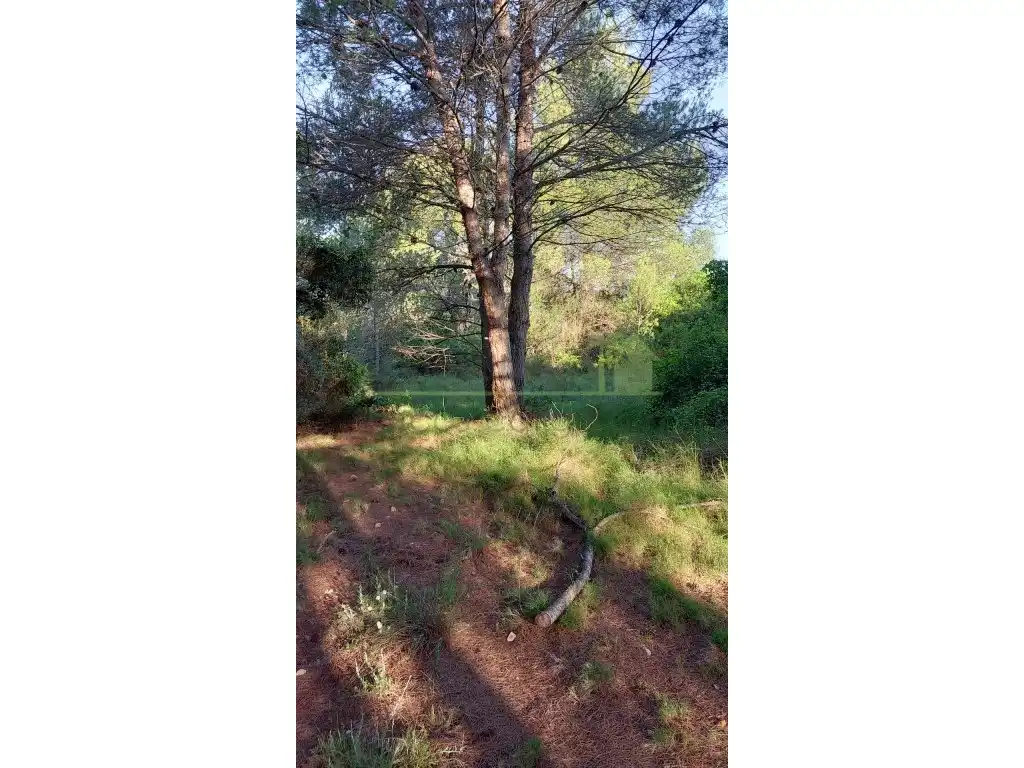 Grundstücke zum Verkauf in Vinaròs
