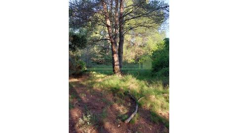 Photo 5 of Land for sale in Poligono Poligono 43, Partidas de interior - Zona Rústica, Vinaròs