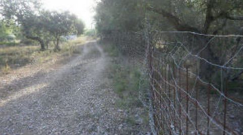 Foto 4 de Terreno en venta en Antic, Eucaliptus - Poble Nou del Delta, Amposta