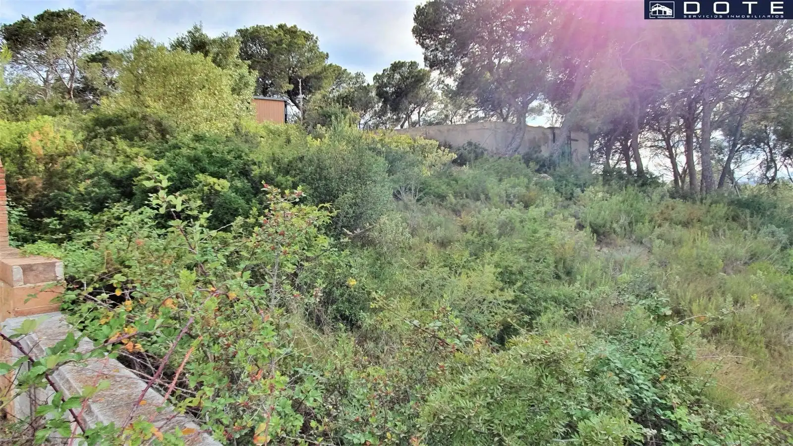 Terreny en venda en Creixell