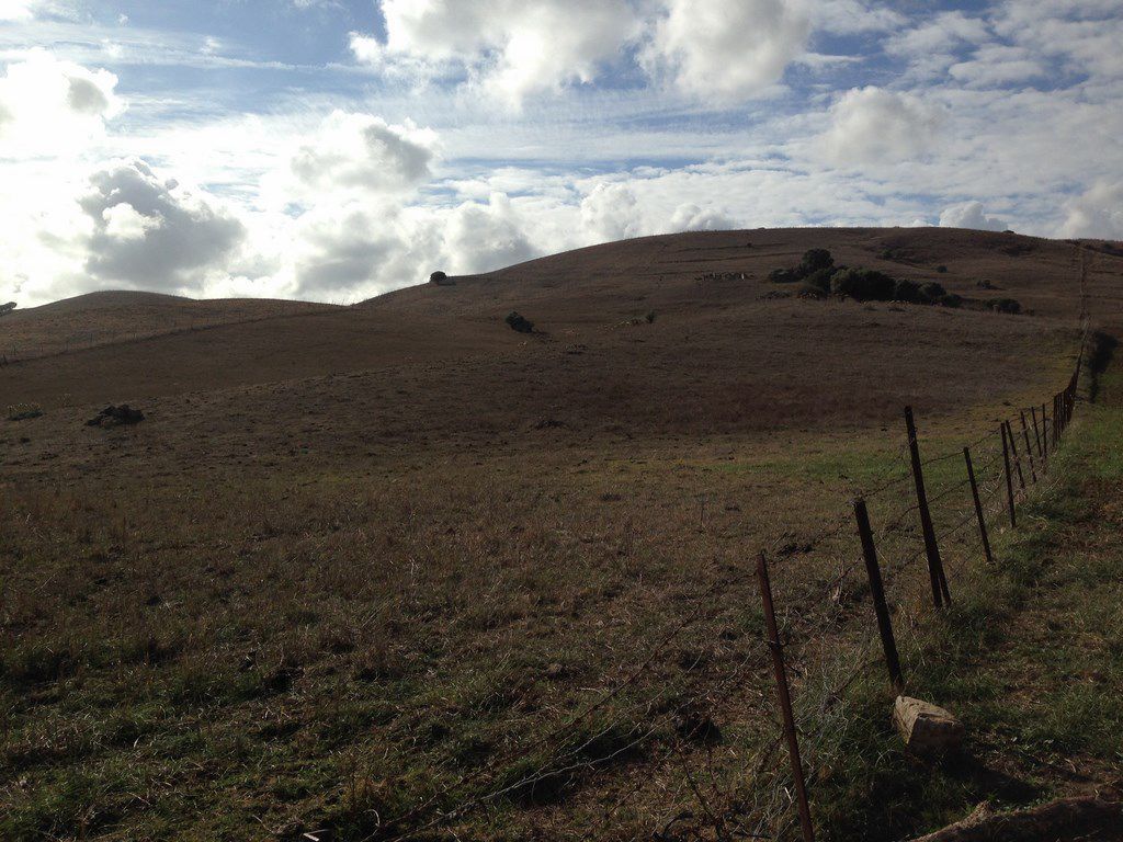 Finca rústica en venta en Jimena de la Frontera